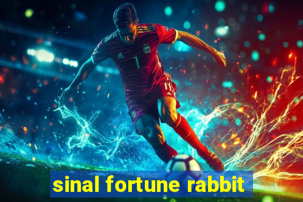 sinal fortune rabbit